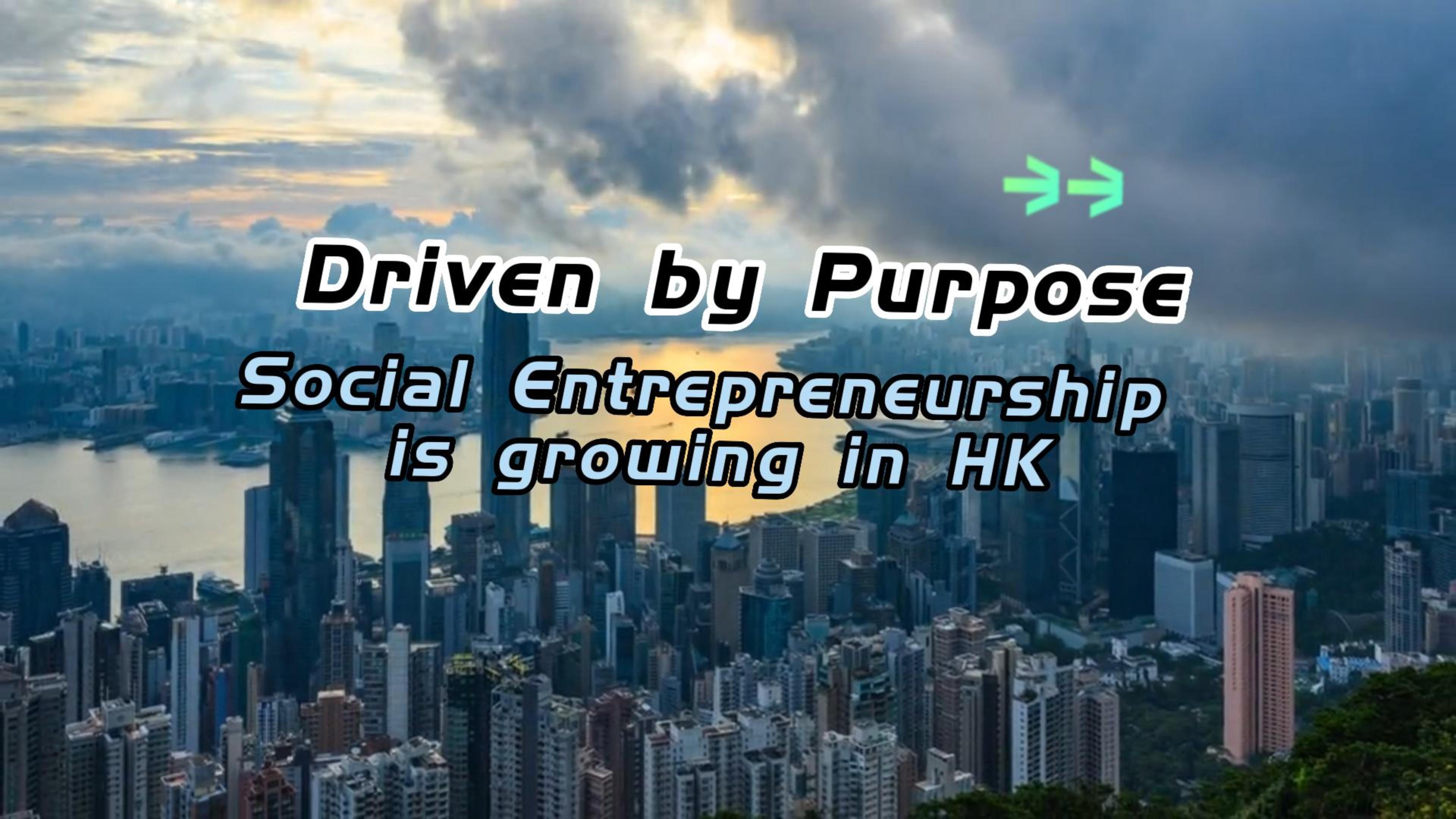 Social entrepreneurship in insight gp